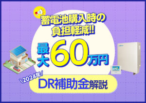 2024年度のDR補助金は?蓄電池をお得に購入できる制度についてわかりやすく解説?