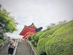 o0480036013627449626
