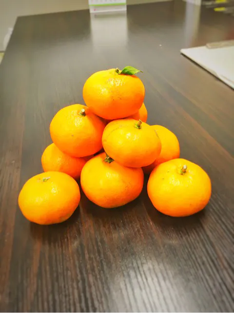 o0480064113829684103